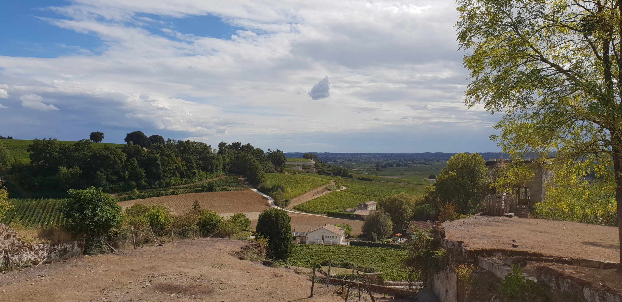 Omgeving Saint-Émilion