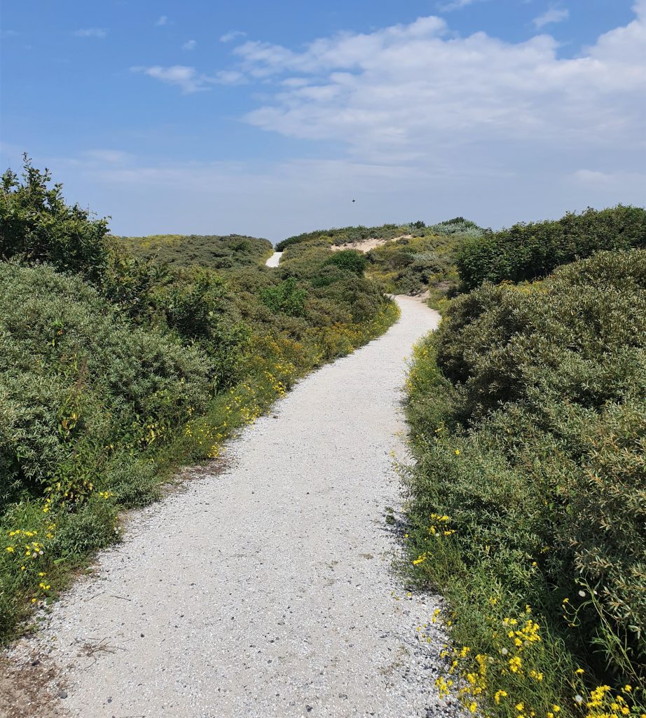 Duinwandeling Nederland