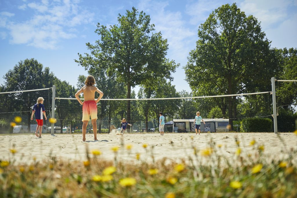 Beachvolleybalvelden