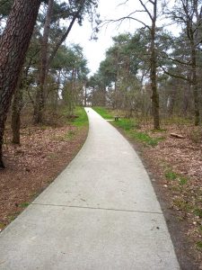 Wandeling Loonse en Drunense Duinen