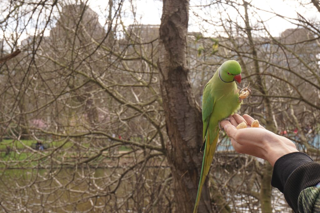 St James's Park