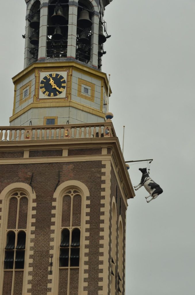 Koe aan de toren van Kampen
