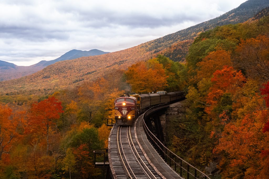 Trein door de bergen en bossen