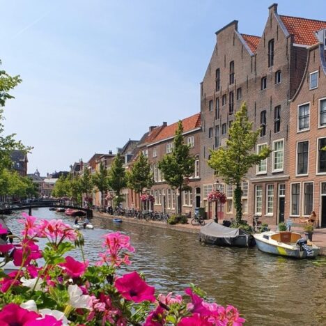 Ontdek 10 exotische plekken in Nederland