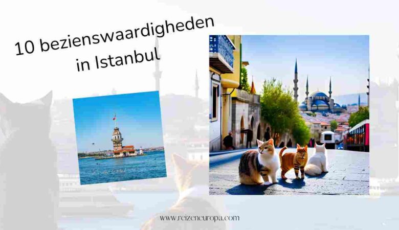 10 bezienswaardigheden in Istanbul, de kattenhoofdstad van Europa